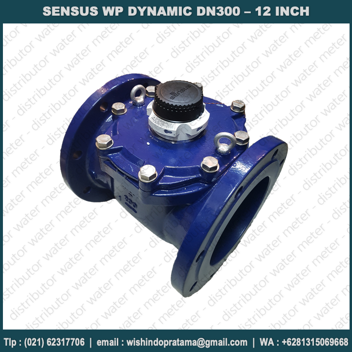 watermeter-sensus-dynamic-dn300